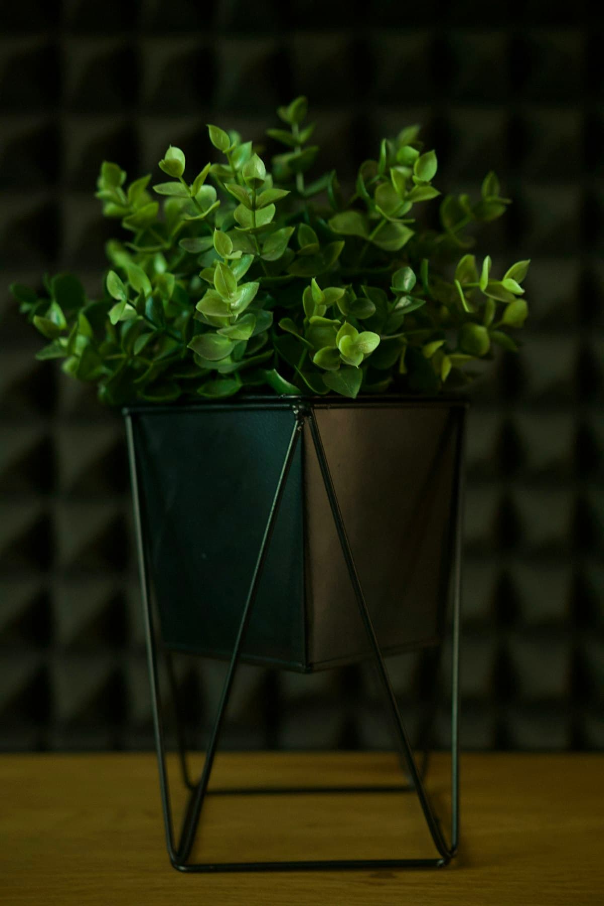 Hex Planter